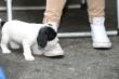 Oh, feine Schuhe,.jpg